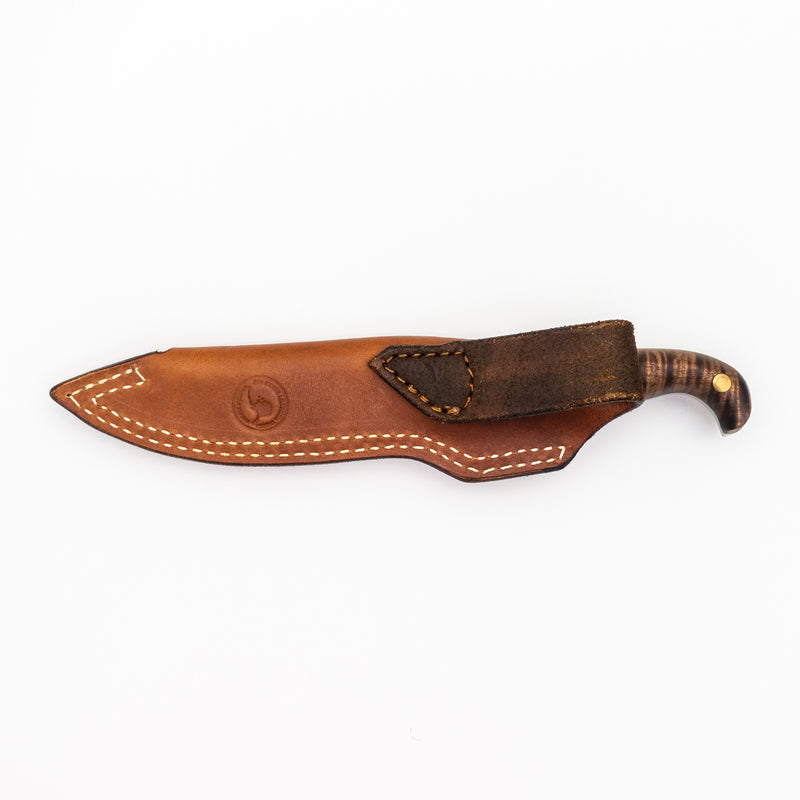 Defender with Curly Hawaiian Koa Scales